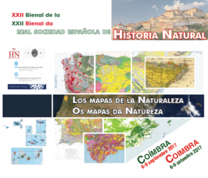 bienal_imagem