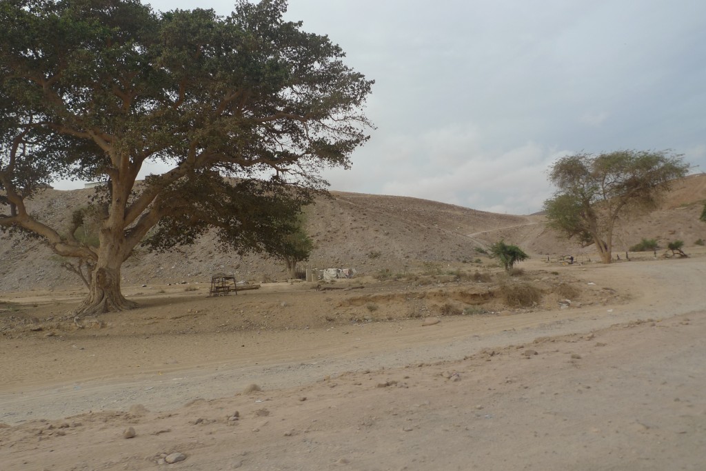 Deserto do Namibe em Angola, janeiro de 2014 (autoria de Rui Neves)