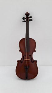 1 Violino14